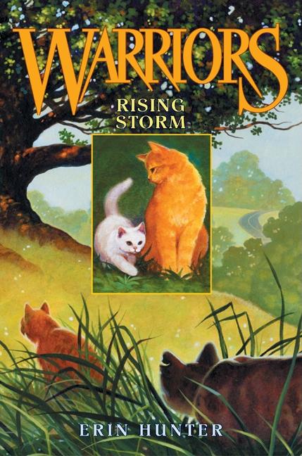 Book cover for Rising Storm