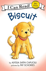 Book cover for Biscuit