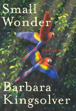 Book cover for Small Wonder: Essays