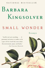 Book cover for Small Wonder: Essays