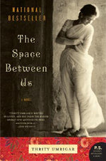 Book cover for The Space Between Us