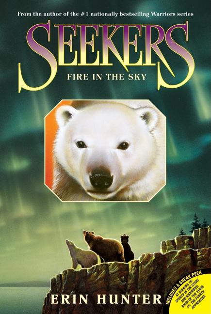 Book cover for Seekers #5: Fire in the Sky