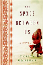 Book cover for The Space Between Us