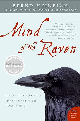 Book cover for Mind of the Raven: Investigations and Adventures with Wolf-Birds