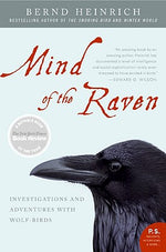 Book cover for Mind of the Raven: Investigations and Adventures with Wolf-Birds