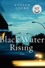 Book cover for Black Water Rising