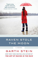 Book cover for Raven Stole the Moon