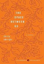 Book cover for The Space Between Us