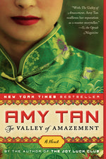 Book cover for Valley of Amazement