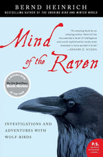 Book cover for Mind of the Raven