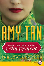 Book cover for Valley of Amazement