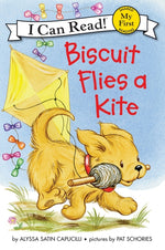 Book cover for Biscuit Flies a Kite