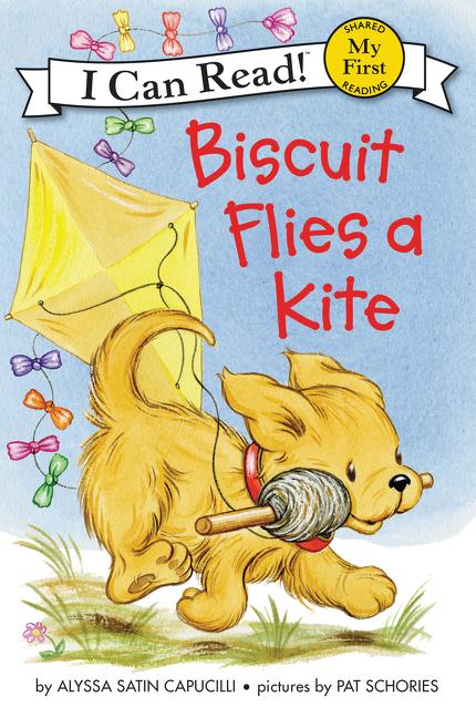 Book cover for Biscuit Flies a Kite