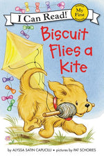 Book cover for Biscuit Flies a Kite
