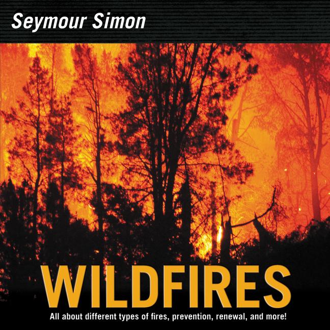 Book cover for Wildfires