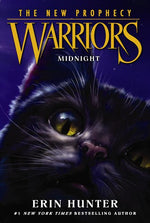 Book cover for Midnight