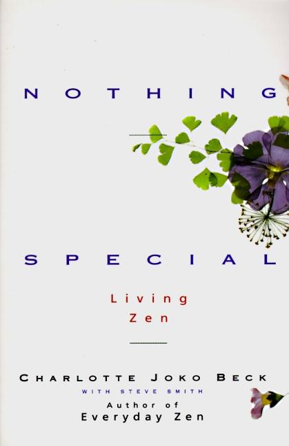 Book cover for Nothing Special (Revised)