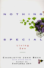 Book cover for Nothing Special (Revised)