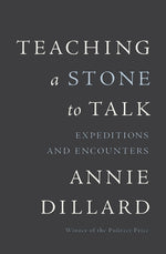 Book cover for Teaching a Stone to Talk