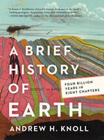 Book cover for A Brief History of Earth: Four Billion Years in Eight Chapters