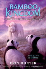 Book cover for Bamboo Kingdom #3: Journey to the Dragon Mountain