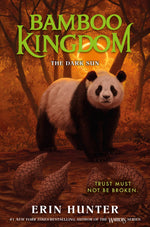 Book cover for Bamboo Kingdom #4: The Dark Sun