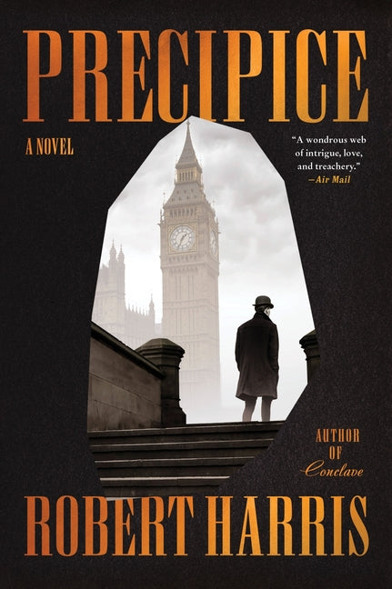 Book cover for Precipice