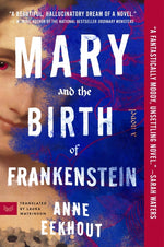 Book cover for Mary and the Birth of Frankenstein