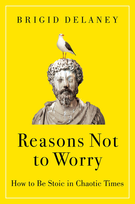 Book cover for Reasons Not to Worry: How to Be Stoic in Chaotic Times