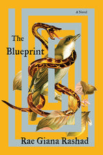 Book cover for The Blueprint