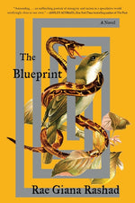 Book cover for Blueprint