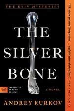 Book cover for Silver Bone