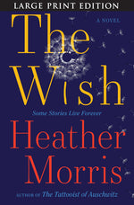 Book cover for Wish