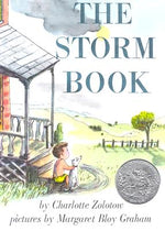 Book cover for The Storm Book: A Caldecott Honor Award Winner