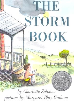 Book cover for The Storm Book: A Caldecott Honor Award Winner