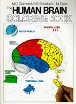 Book cover for Human Brain Coloring Book