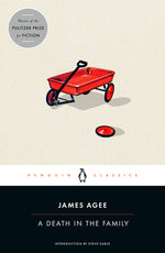 Book cover for A Death in the Family