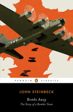Book cover for Bombs Away: The Story of a Bomber Team