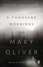 Book cover for A Thousand Mornings: Poems