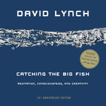 Book cover for Catching the Big Fish: Meditation, Consciousness, and Creativity