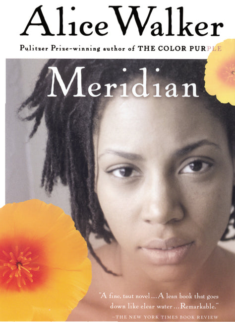 Book cover for Meridian