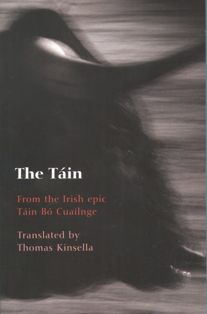 Book cover for Táin