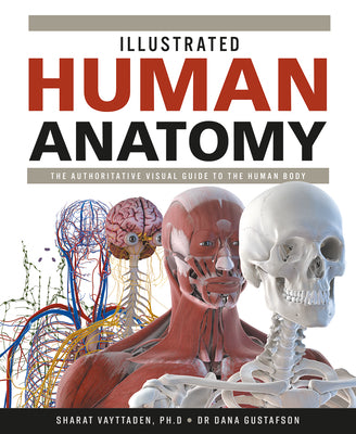 Book cover for Illustrated Human Anatomy: The Authoritative Visual Guide to the Human Body