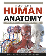 Book cover for Illustrated Human Anatomy: The Authoritative Visual Guide to the Human Body