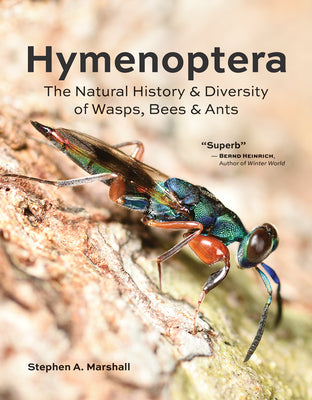 Book cover for Hymenoptera: The Natural History and Diversity of Wasps, Bees and Ants