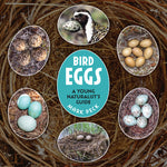 Book cover for Bird Eggs: A Young Naturalist's Guide