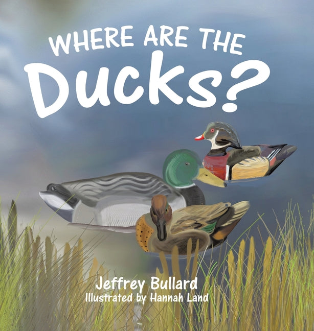 Book cover for Where Are the Ducks?