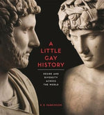 Book cover for A Little Gay History: Desire and Diversity Across the World