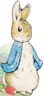 Book cover for All about Peter
