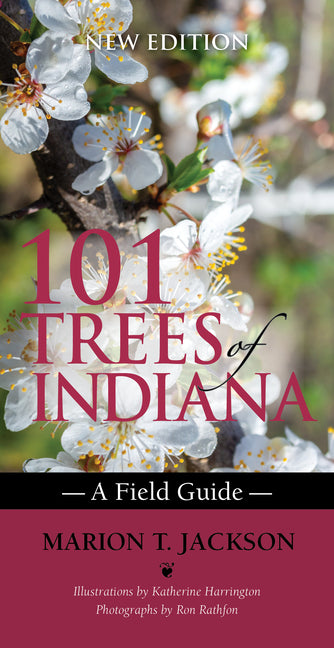 Book cover for 101 Trees of Indiana: A Field Guide
